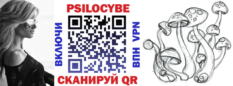 закладки  Сызрань  Псилоцибиновые грибы Magic Shrooms 